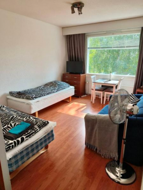 Studio Apartment Veisu